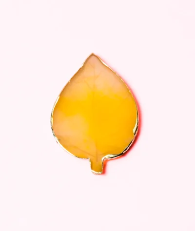 Paletă pentru mixare gel și ojă (Tip frunză)