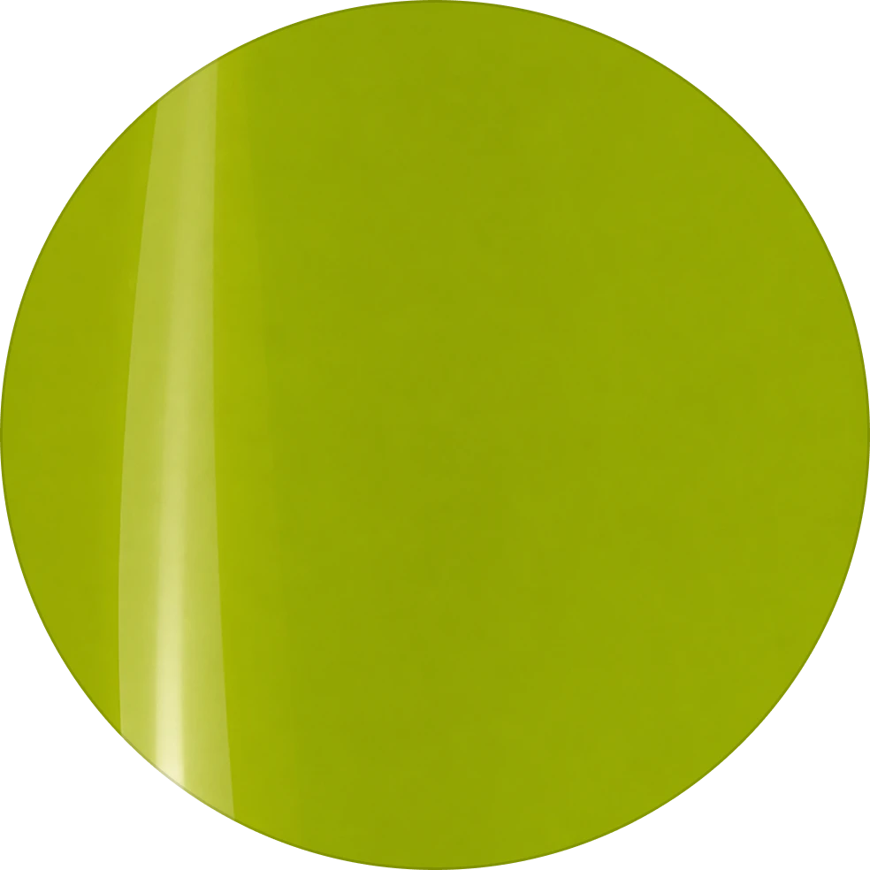 Polish 16