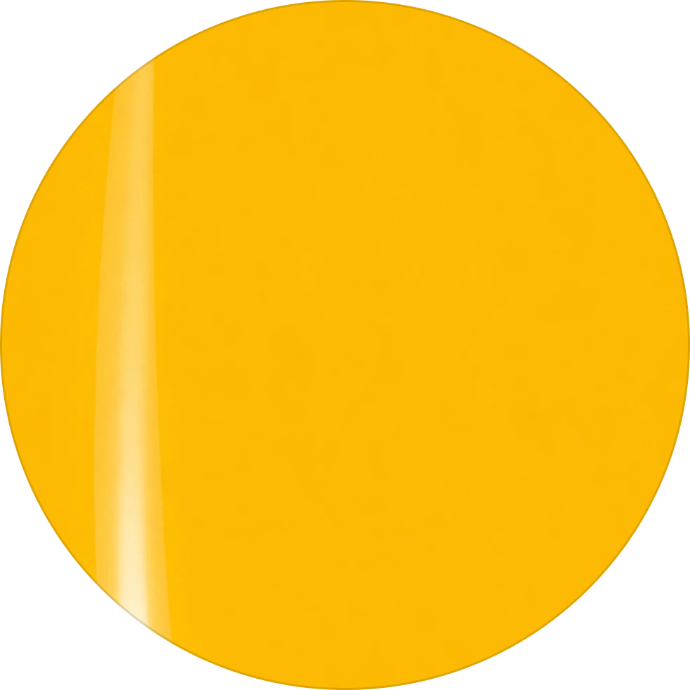 Polish 19